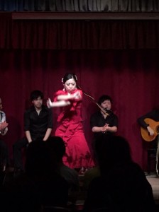 アレグリアスZ3