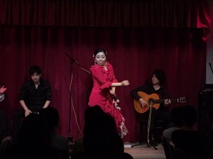 アレグリアスZ1