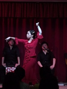 アレグリアスZ4