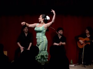 アレグリアスZ6