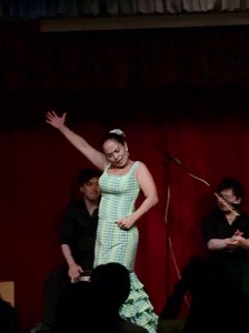 アレグリアスZ8