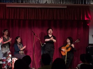 アレグリアスZ8