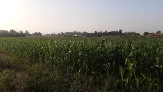 スペインの写真