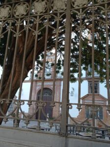 スペインの写真