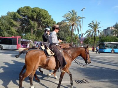 IMG_20230507_185759 フェリア デル カバジョ馬祭り