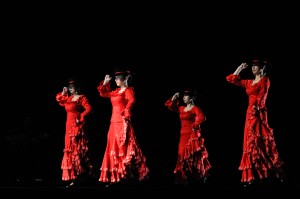 第九回　相田フラメンコ教室発表会「万華鏡2014」　ガロティン