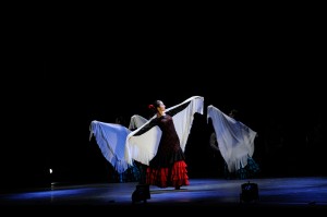 第九回　相田フラメンコ教室発表会「万華鏡2014」ソレア