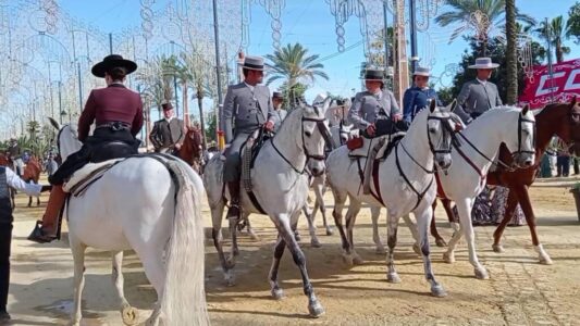 VIDEO__20230507_183250_219 - frame at 0m54s フェリア デル カバジョ馬祭り