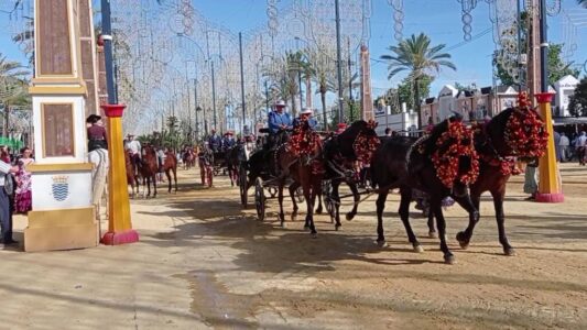 VIDEO__20230507_183250_219 - frame at 1m21s フェリア デル カバジョ馬祭り