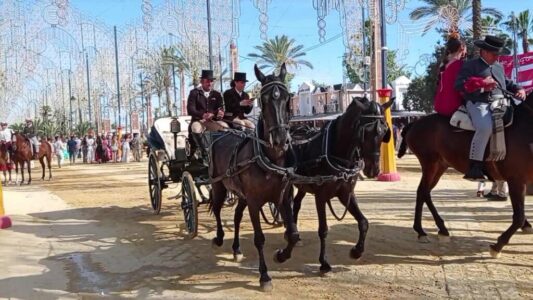 VIDEO__20230507_183250_219 - frame at 1m54s フェリア デル カバジョ馬祭り